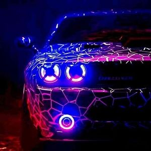 Meet your Posher, Ryder